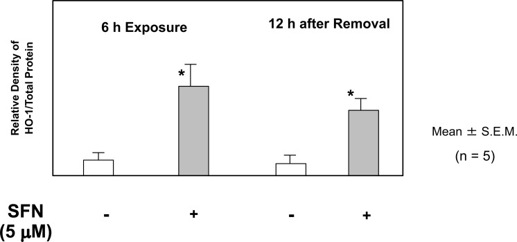 Fig. (10)