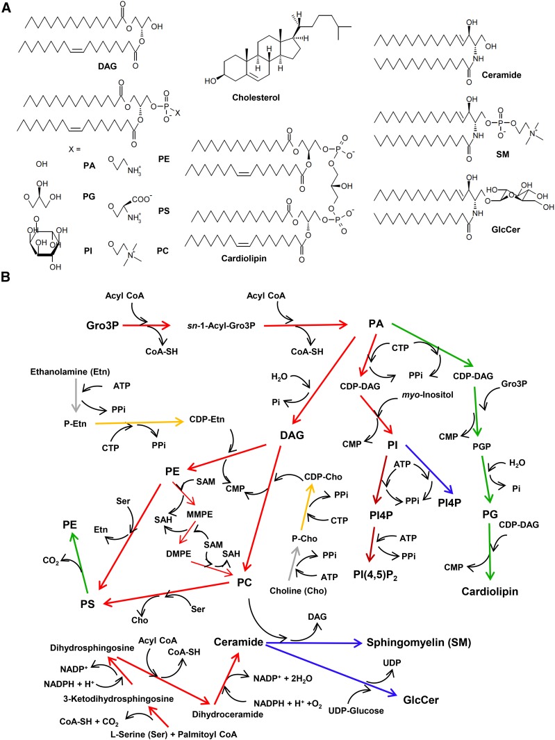 Fig. 1.