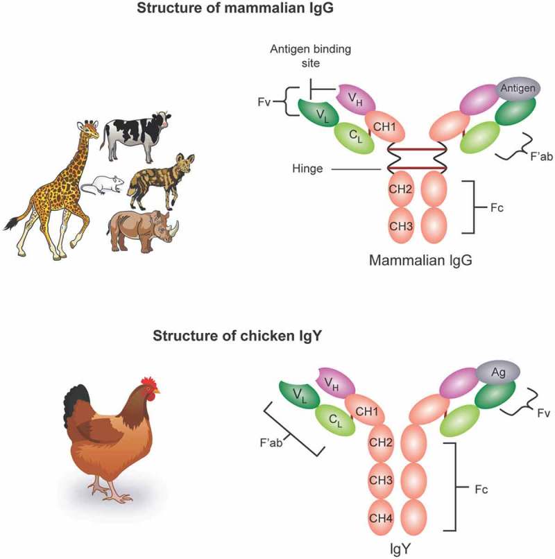 Figure 2.