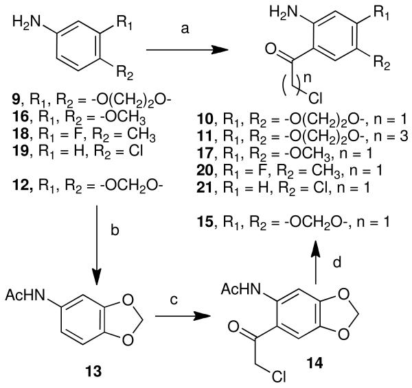 Scheme 1