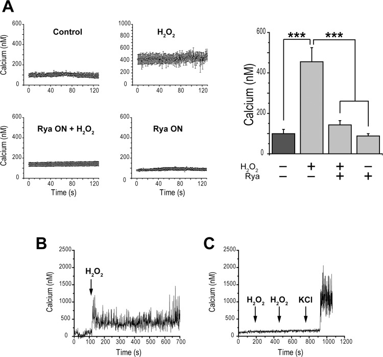 Fig 7