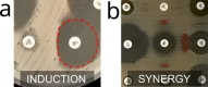 Fig. 7