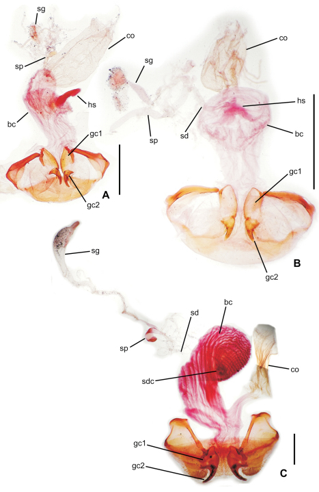 Figure 3.