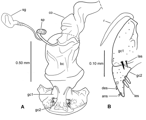 Figure 12.