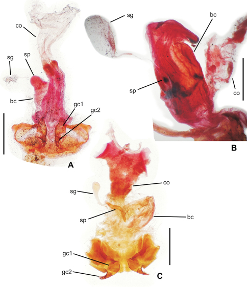 Figure 4.