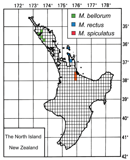 Figure 13.