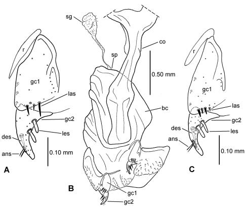 Figure 14.