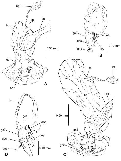 Figure 17.