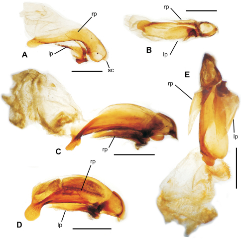 Figure 16.