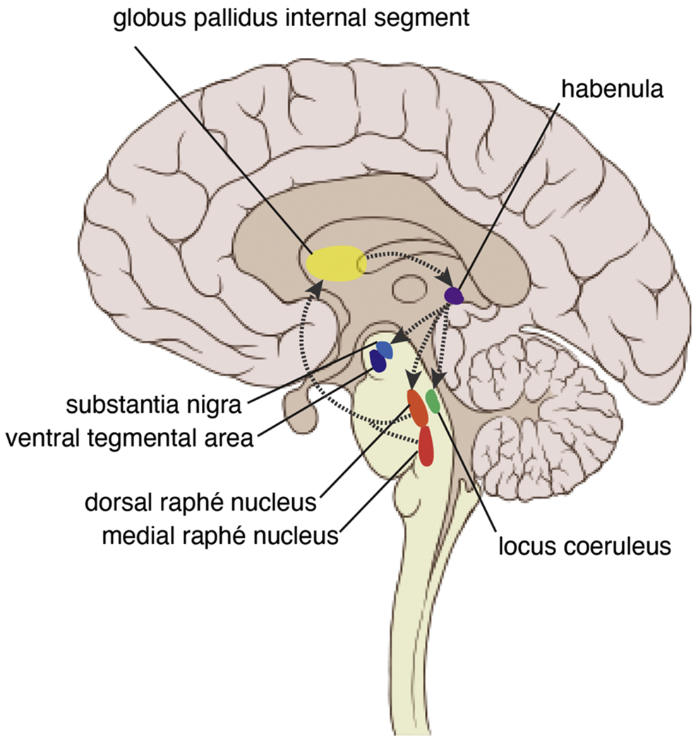 Fig. 5.