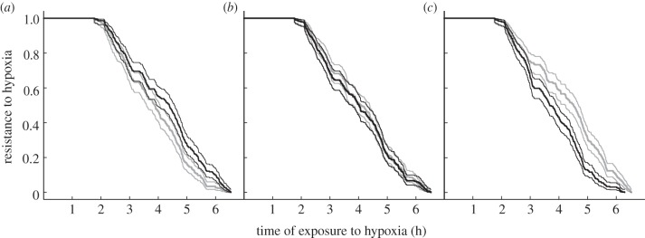 Figure 2.