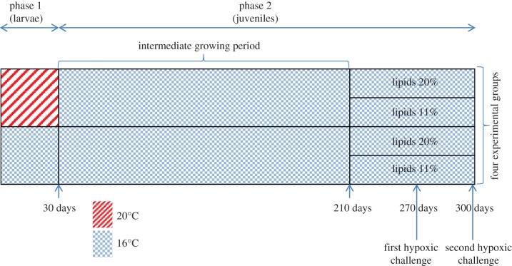 Figure 1.