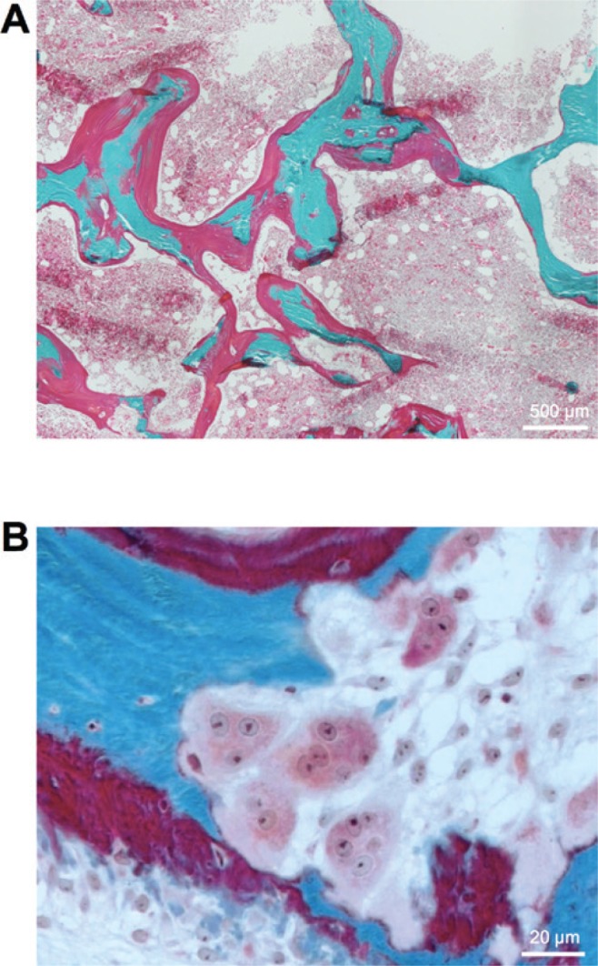 Figure 3: