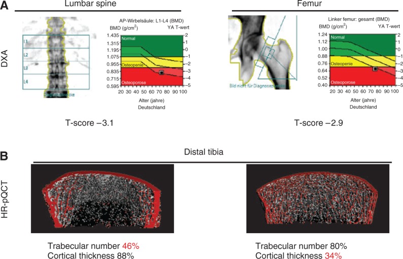 Figure 1: