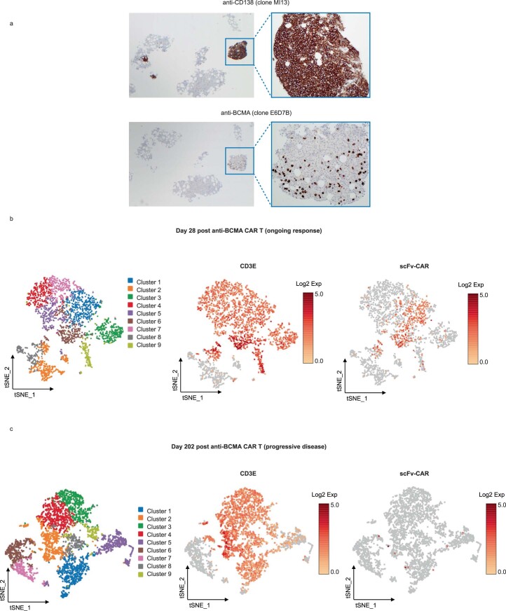 Extended Data Fig. 2