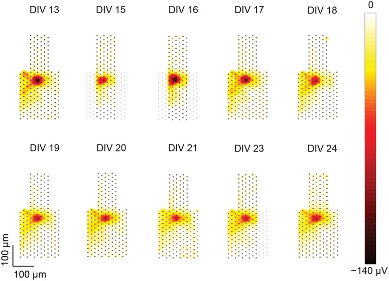 Figure 5