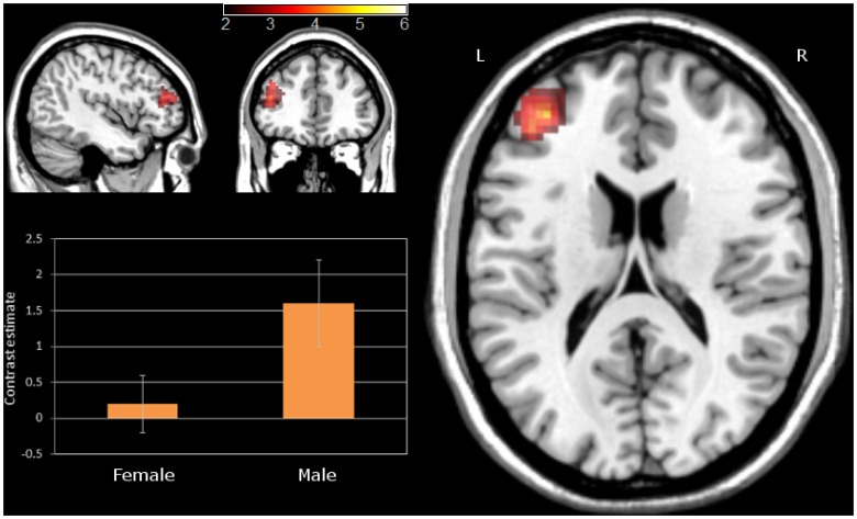 Figure 5