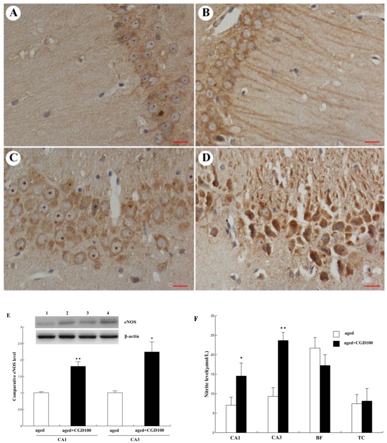 Fig 5