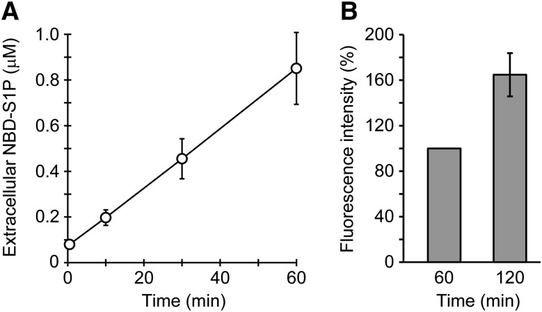 Fig. 6.