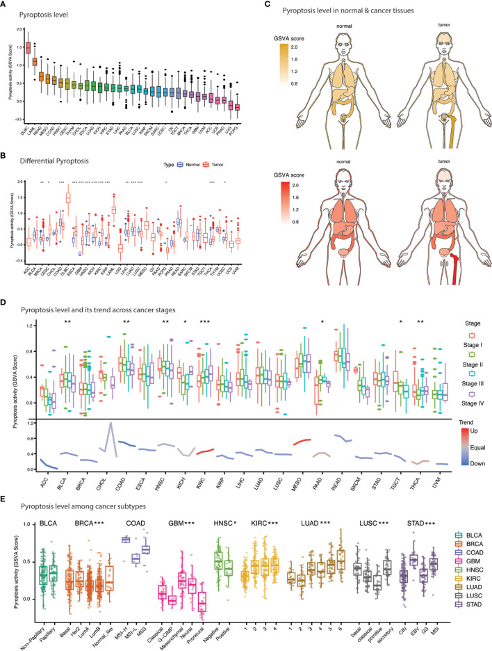 Figure 4