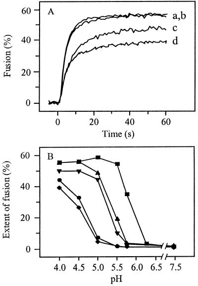 FIG. 5