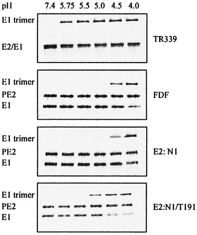 FIG. 6