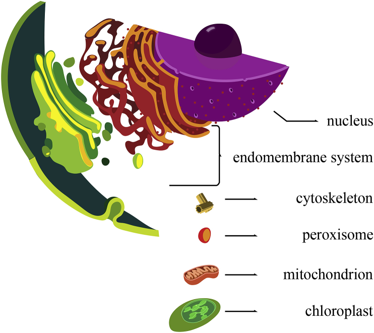 Fig. 1