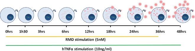 FIG 1