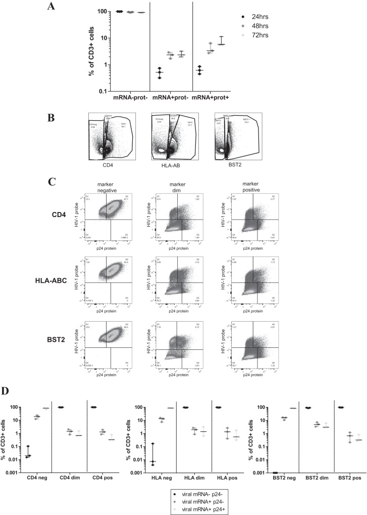 FIG 6