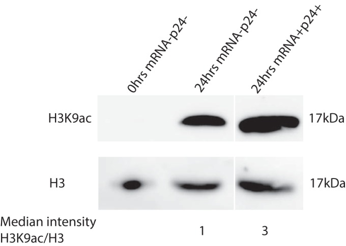 FIG 4