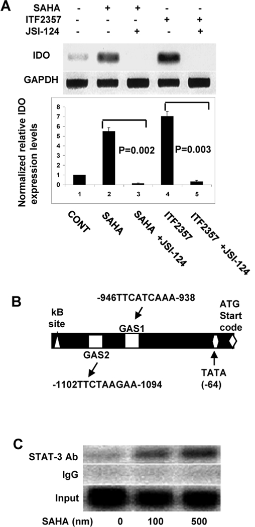 Figure 2: