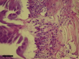 Fig 8.31