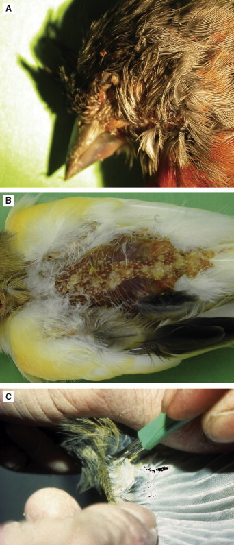 Fig 8.24