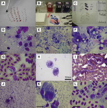 Fig 8.17