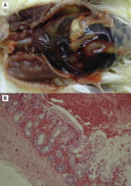 Fig 8.22