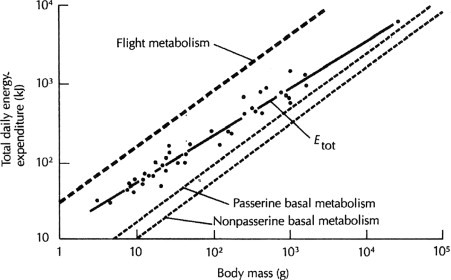 Fig 8.2