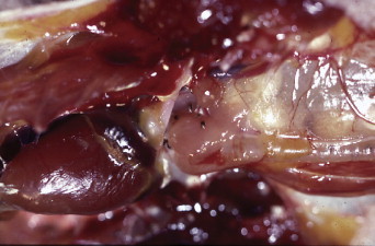 Fig 8.39