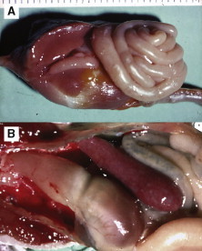 Fig 8.4