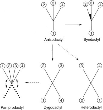 Fig 8.3