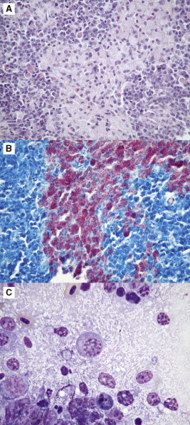 Fig 8.29