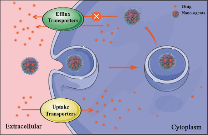 Image, graphical abstract