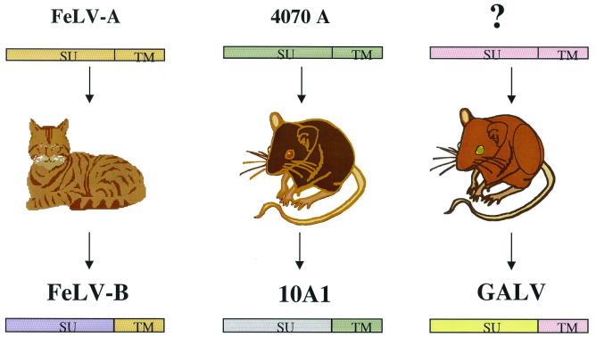 FIG. 3