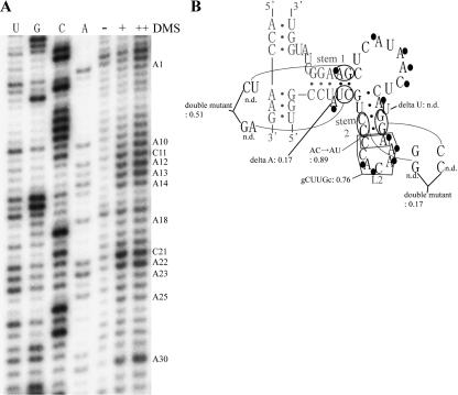 FIGURE 5.