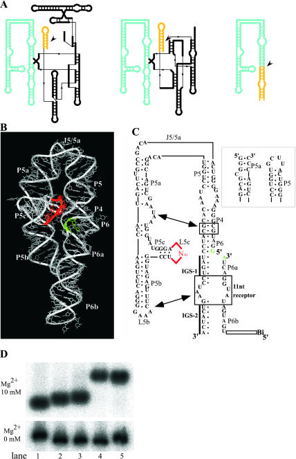 FIGURE 1.