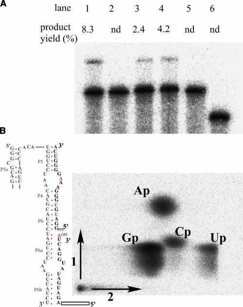 FIGURE 3.