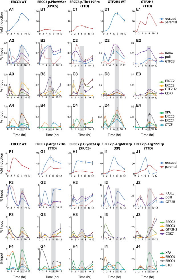 Figure 2