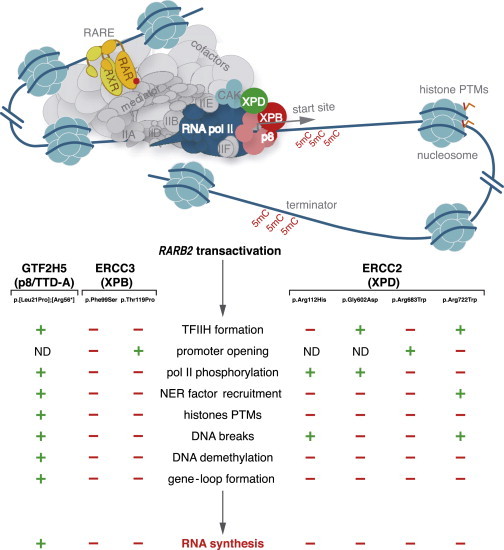 Figure 6