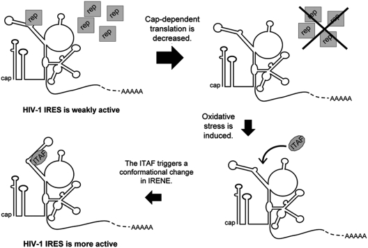 Figure 6.