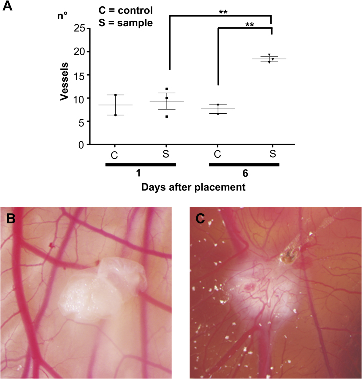 Fig. 7