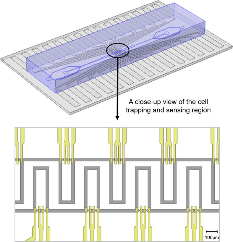 Fig. 1